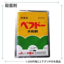 �٥եɡ����º�