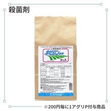 �ͥӥ���ʴ��