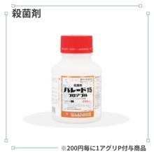 �ѥ졼�ɣ����ե����֥�