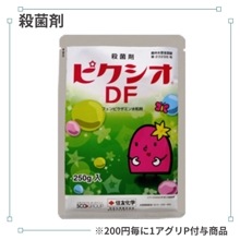 �ԥ������ģ�