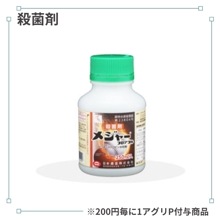 �᥸�㡼�ե����֥�