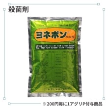 ��ͥݥ���º�