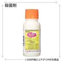 ���ޥ�ե����֥�