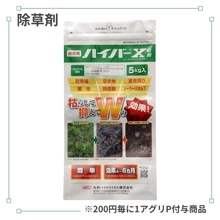 �ϥ��С���γ��