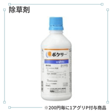 �ܥ���������