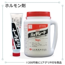 �Хå��졼��