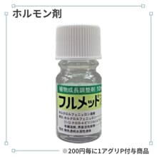 �ե��åȱպ�