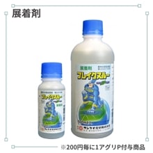 �֥쥤�����롼