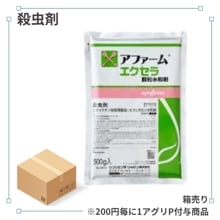 ��Ȣ��꾦�ʡۥ��ե����२��������γ���º�