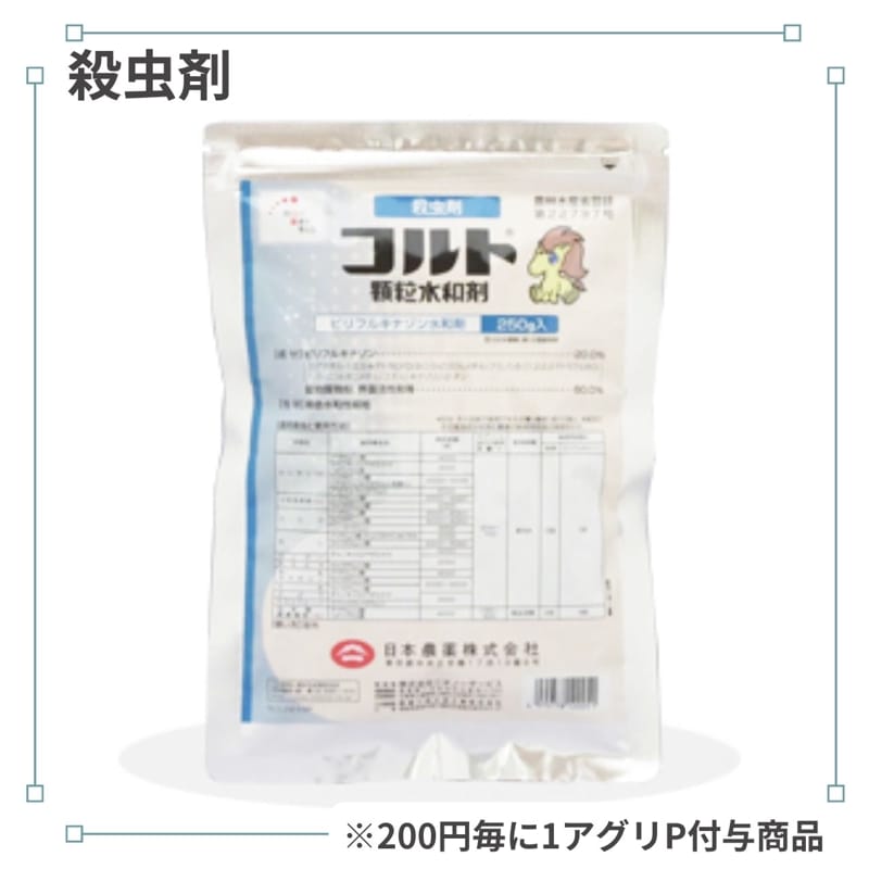 �������γ���º�