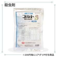 �������γ���º�