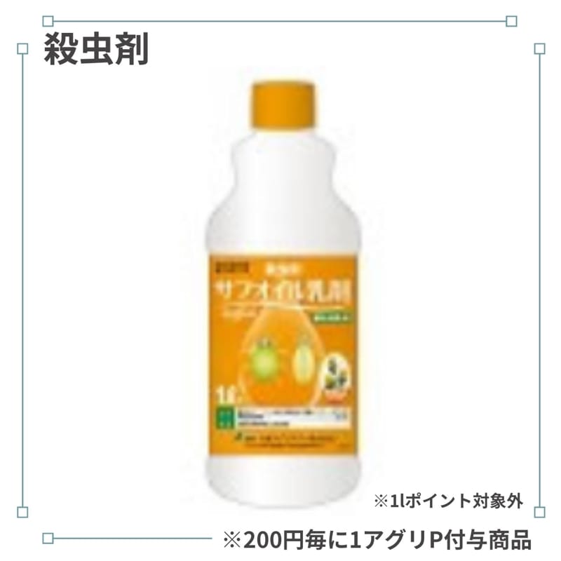 ���ե���������