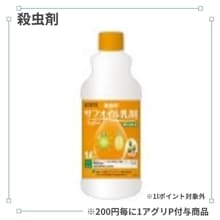 ���ե���������