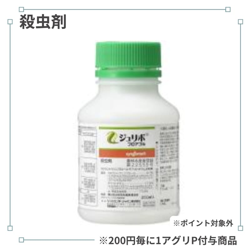 �����ܥե����֥�