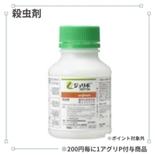 �����ܥե����֥�