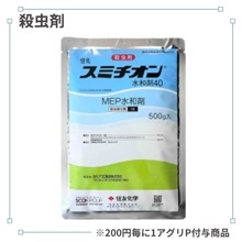 ���ߥ�������ºޣ���