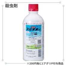 ���ߥ���������