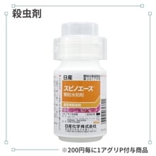 ���ԥΥ�������γ���º�