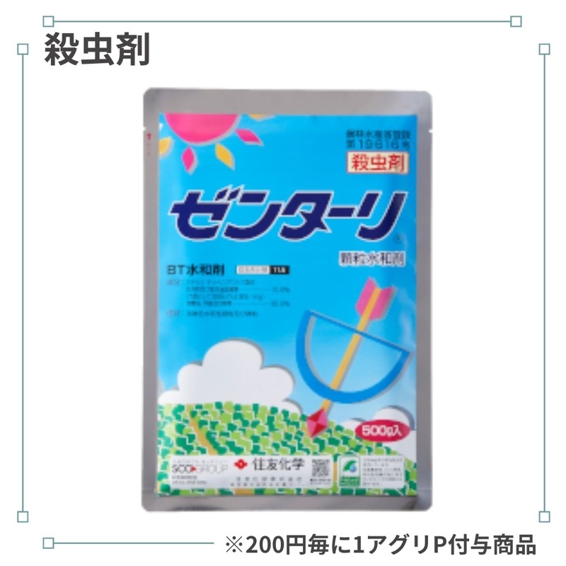 ���󥿡�����γ���º�