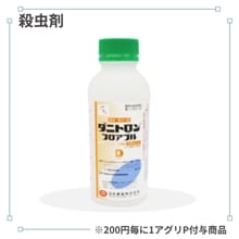 ���˥ȥ���ե����֥�