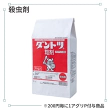 ����ȥ�γ��