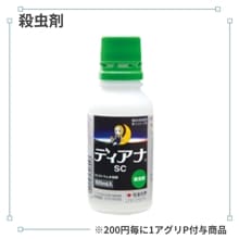 �ǥ����ʣӣ�