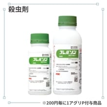 �ץ�Х���ե����֥룵