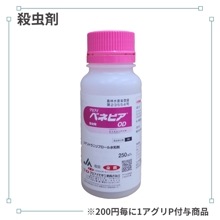 �٥ͥӥ��ϣ�