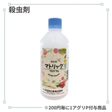 �ޥȥ�å��ե����֥�