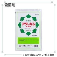 �����å�����º�