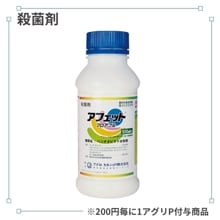 ���ե��åȥե����֥�