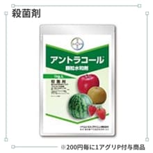 ����ȥ饳������γ���º�