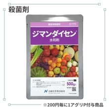 ���ޥ����������º�