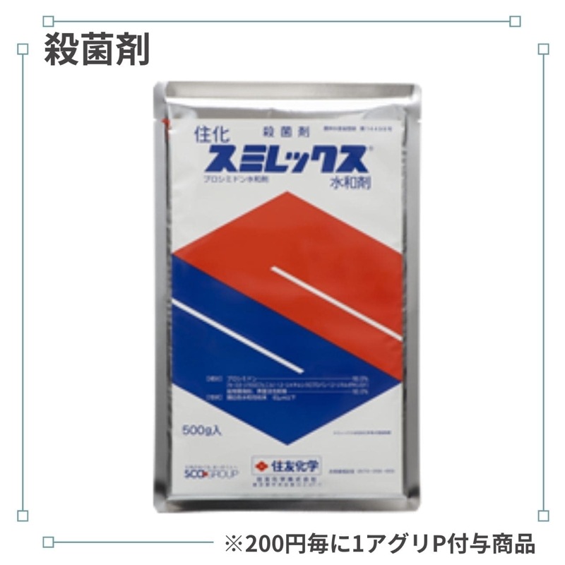 ���ߥ�å������º�