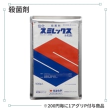 ���ߥ�å������º�