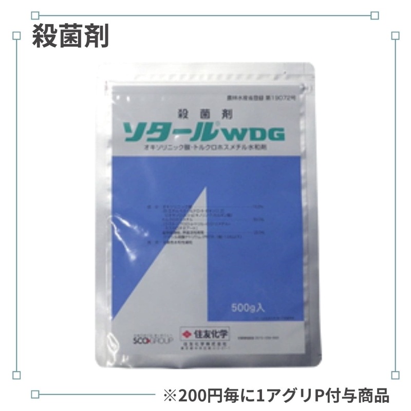 ��������ףģ�