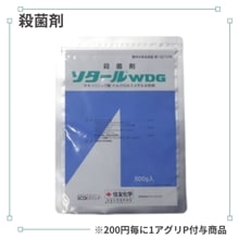 ��������ףģ�