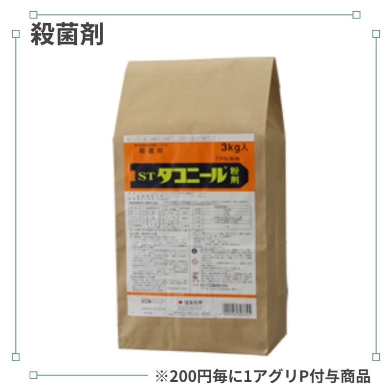 �����ˡ���ʴ��