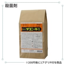 �����ˡ���ʴ��