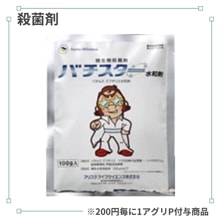 �Х����������º�