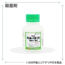 �ѥ졼�ɣ����ե����֥�