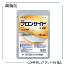 �ե��󥵥��ɿ��º�