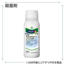 �ե��ȥե����֥룲��