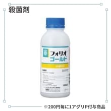 �ե��ꥪ�������