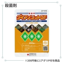 ���������åȣģ�