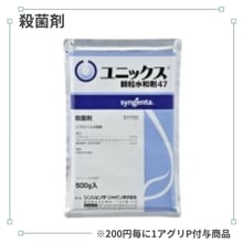 ��˥å�����γ���ºޣ���