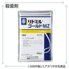 ��ɥߥ르����ɣͣ�