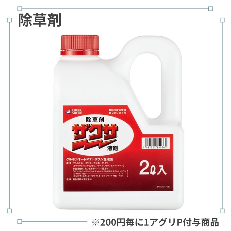 �������պ�