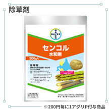 ���󥳥���º�