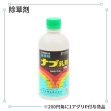 �ʥ�����